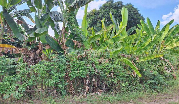  Tanah Siap Bangun Rumah Lokasi Startegis Area Singaraja Bali 2