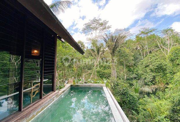 Villa Ready View River Jungle Furnished Susana Desa Lokasi Ubud 1