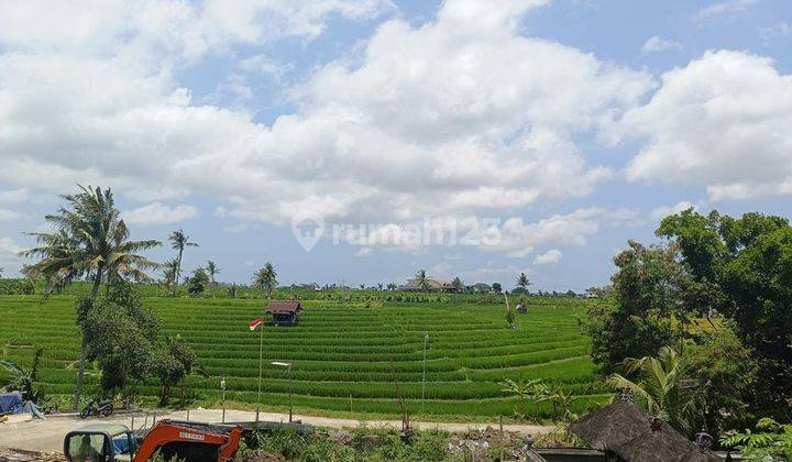 For Sale Brand New Villa Ready Furnished View Sawah Lokasi Canggu 7