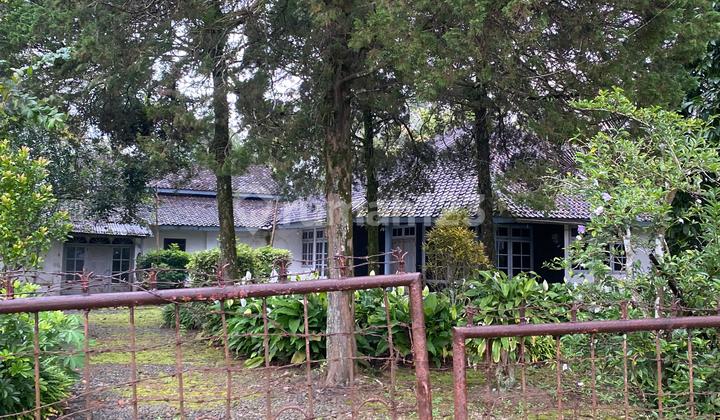 Rumah dan Tanah Sangat Luas View Gunung Ijen Udara yang Bagus