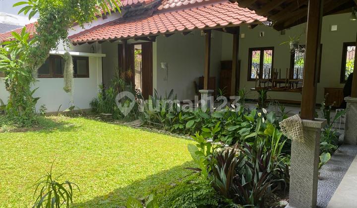 For Rent Rumah 3Br Halaman Sangat Luas Lokasi Super Startegis Renon For Rent Rumah 3Br Halaman Sangat Luas Lokasi Super Startegis Renon