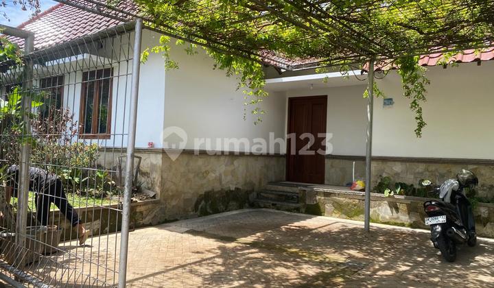 For Rent Rumah 3Br Halaman Sangat Luas Lokasi Super Startegis Renon 2