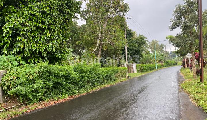 House and Land Very Large View of Mount Ijen Good Air 2