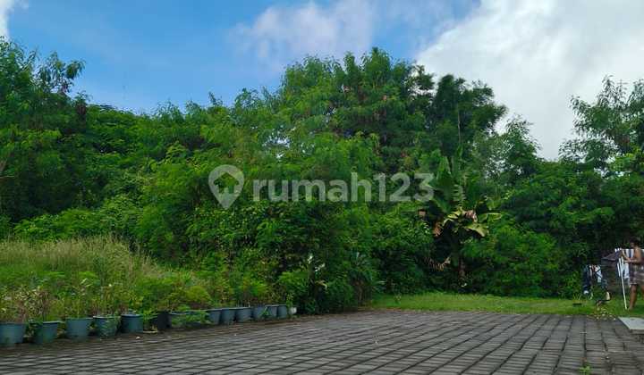 Land Ready for Construction, Asphalt, Electricity and Water Lines Available, Paved Area.