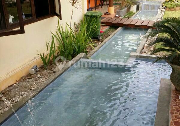 Villa Big Garden Ready Unit Semi Furnished in the Premium Area of Umalas Bumbak