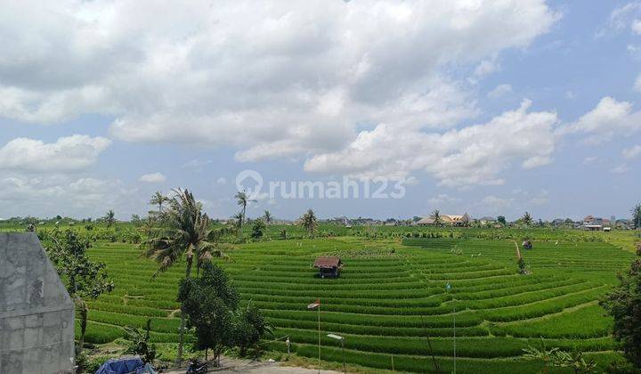 For Sale Brand New Villa Ready Furnished View Sawah Lokasi Canggu 9