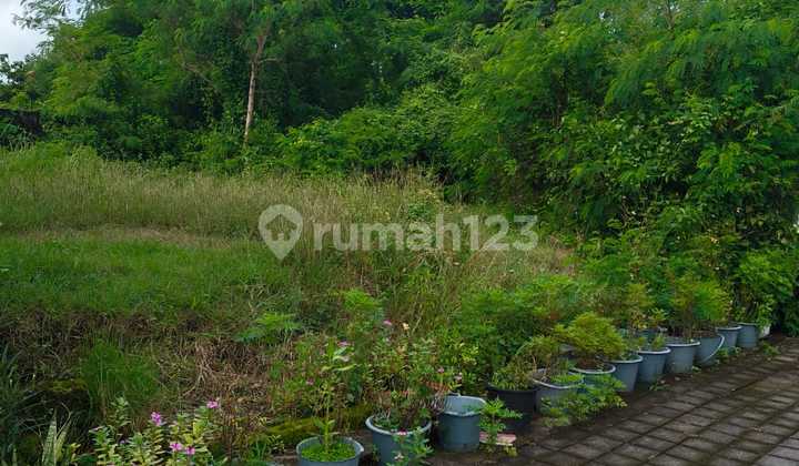 Land Ready for Construction, Asphalt, Electricity and Water Lines Available, Paved Area.