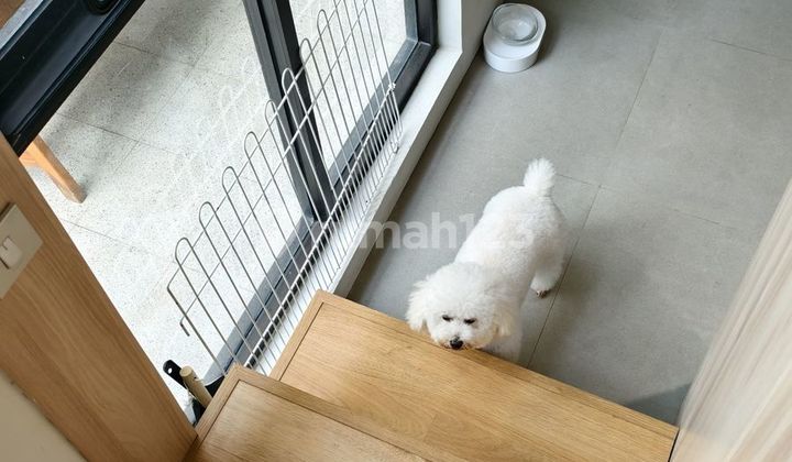 FOR RENT VILLA BARU FURNISHED 3BR KAWASAN ONE GATE BEST JIMBARAN  2