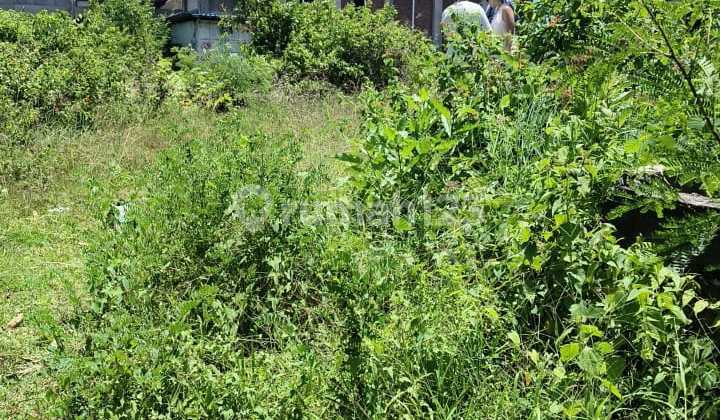 Tanah Luas Siap Bangun di Pecatu Bali