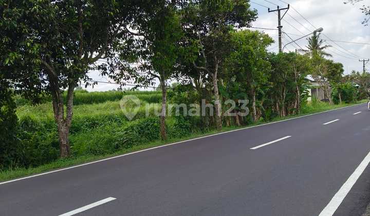 TANAH PINGGIR JALAN UTAMA VIEW SAWAH & POHON KELAPA DI SANGEH ABIANSEMAL TANAH PINGGIR JALAN UTAMA VIEW SAWAH & POHON KELAPA DI SANGEH ABIANSEMAL