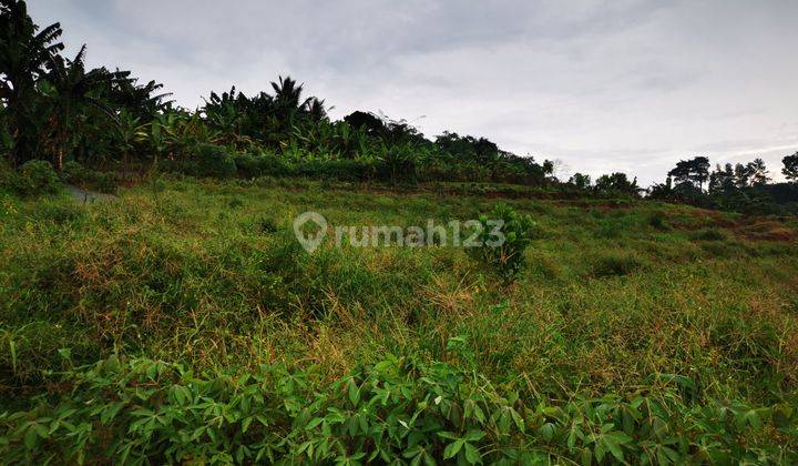 Tanah Dijual di Lokasi Area Wisata Alam dan Sejarah di Batu Tulis Nanggung di Jalan Ace Tabrani  5