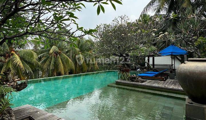 Disewakan Semi Apartemen Bagus Siap Huni Di Cilandak 2