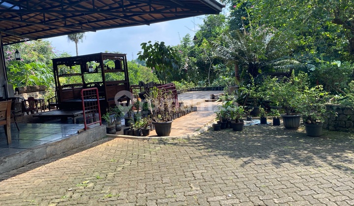 Rumah Antik Jarang Ada di Jagakarsa