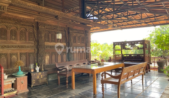 Rumah Antik Jarang Ada di Jagakarsa