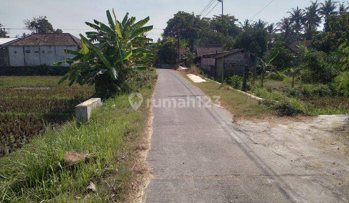 Tanah Murah Di Srandakan Bantul, Cocok Untuk Pertanian 2