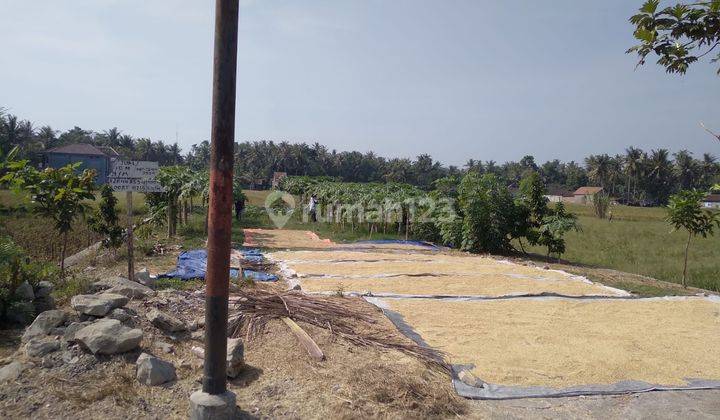 Tanah Murah Hanya 100 Meter Dari Jl Srandakan, Bantul 1