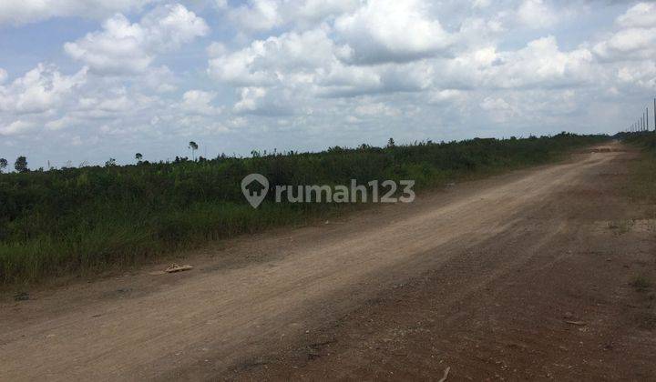 Tanah Luas Cocok Untuk Bisnis Di Sungai Raya, Kubu Raya 1