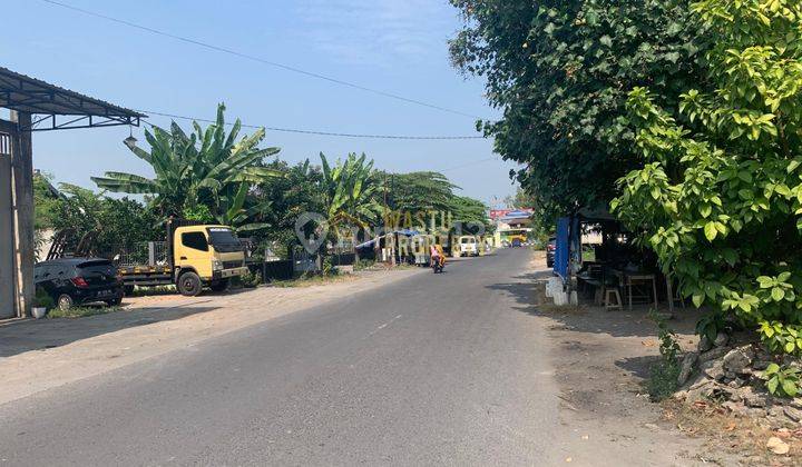 Kost Aktif Di Sewon Bantul, Potensi Penghasilan Tinggi 2