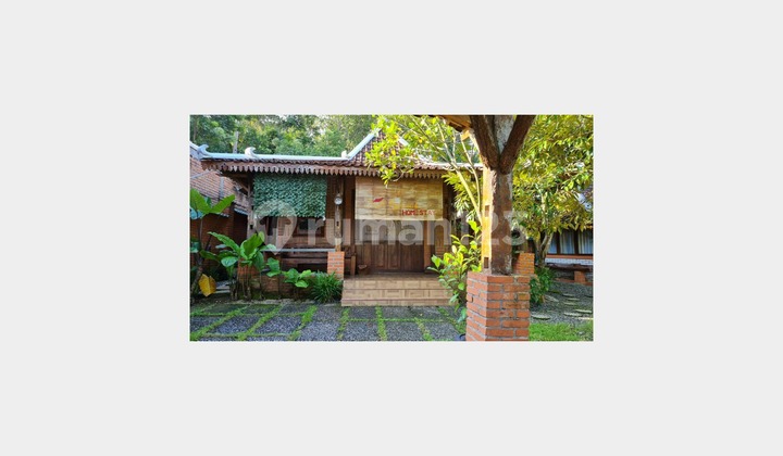 JOGLO VIEW RICE FIELDS IN MOYUDAN SLEMAN, NEAR GODEAN MARKET