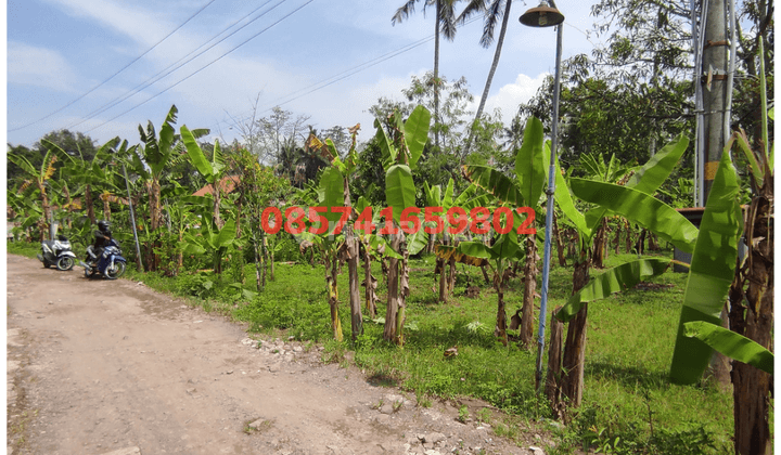 Jual Cepat Tanah Zona Kuning di Jamus Mranggen 3