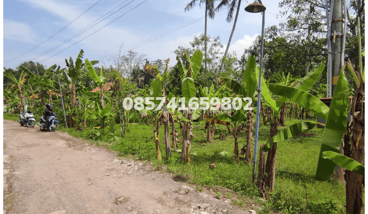 Jual Cepat Tanah Zona Kuning di Jamus Mranggen 4
