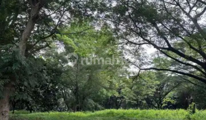 Kavling Royal Orchard 420m² Nego