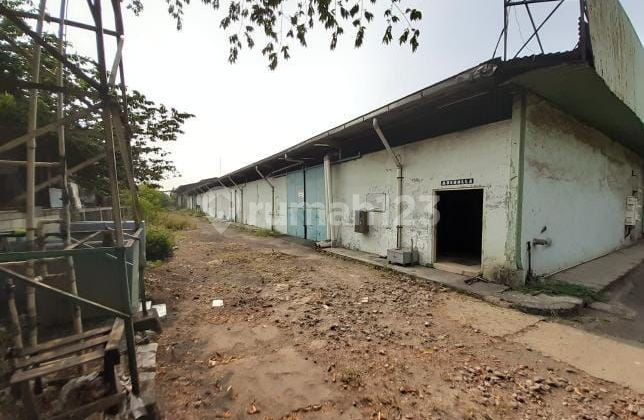 Termurah Gudang Pulogadung Dibawah Njop