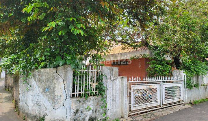 Murah Rumah Tua Cipinang Muara 351m, Nego 1