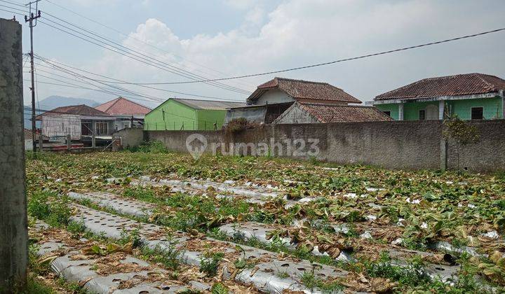 Tanah padat di Lembang untuk tempat wisata, restaurant 2