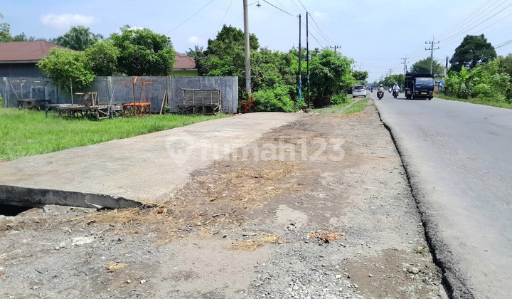 Tanah Murah Luas 3,5 Ha di Jalan Amir Hamzah Binjai Langkat