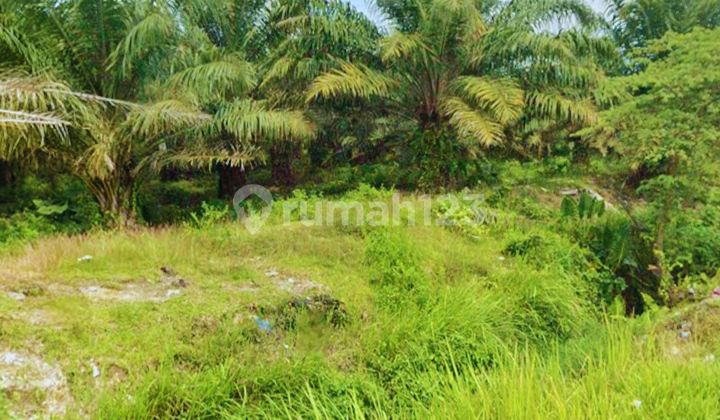 Tanah datar harga murah luas 6012m² di hamparan perak