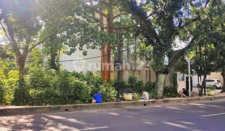 Vacant Land Area 680 Meters Location Beside Orange Billed Teal Road