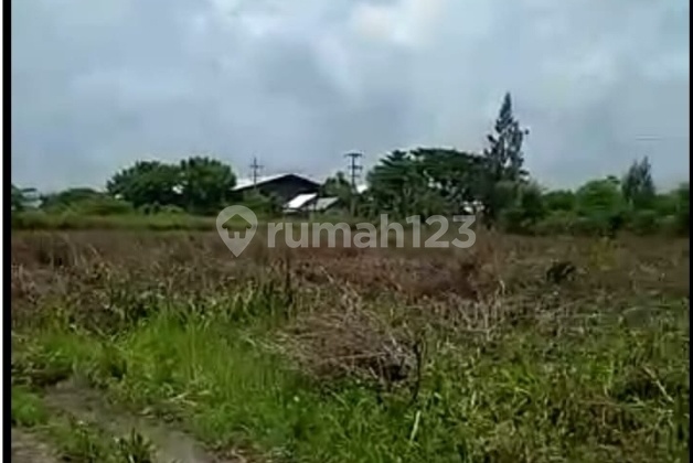 Tanah Industri di Tuban 0 Jalan Raya (Jalan Nasional)
