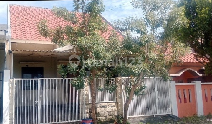 Rumah Siap Huni di Sukolilo Dekat Its dan Hang Tuah Rumah Siap Huni di Sukolilo Dekat Its dan Hang Tuah