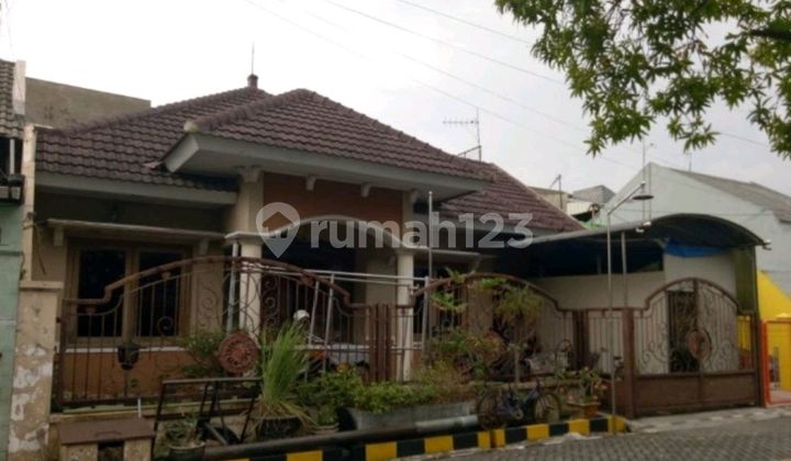 Rumah Siap Huni Bagus SHM Waru Sidoarjo Rumah Siap Huni Bagus SHM Waru Sidoarjo