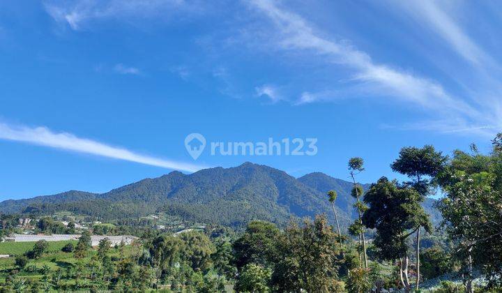 Tanah Kavling Untuk Villa Usaha Glamping Dekat Wisata Lembang 3