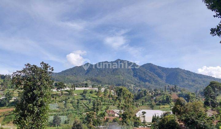Potongan Harga Tanah Kavling View Gunung 3
