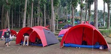 Jual Tanah 2 Hektar Pasirdoton Cidahu Sukabumi Wisata Camp Area 2