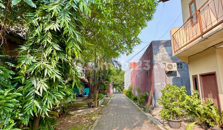 Dijual  Kavling Luas Harga dibawah NJOP Pinggir Jalan Raya  Pondok Kelapa Duren Sawit  Jakarta Timur  2