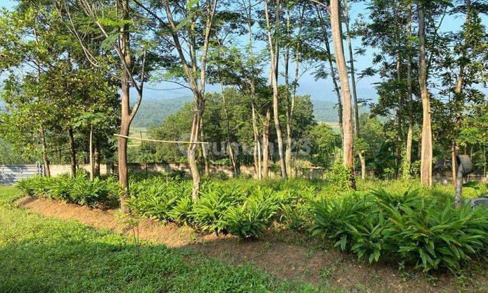 Dijual Cepat Kavling SHM View Gunung di Sukajaya, Bogor 1