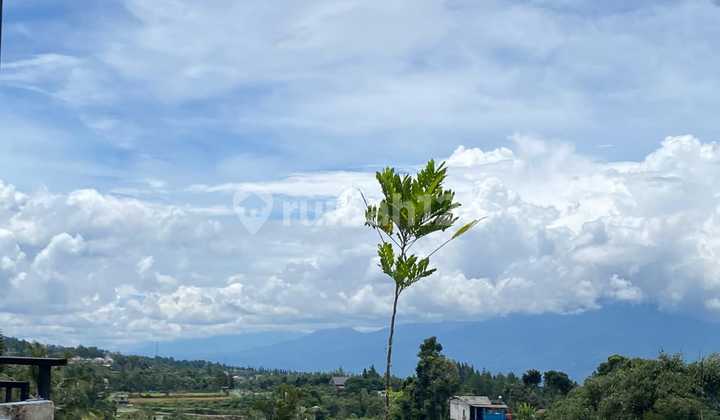 Dijual Cepat! Tanah View Gunung Salak - Pangrango  di Cisarua Puncak 