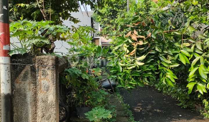 Dijual Tanah  siap bangun rumah kost area bungur  senen  1