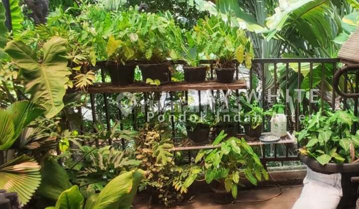 Rumah Gandeng Siap Huni Taman Ubud Lippo Karawaci