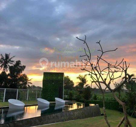Brand new & Luxury Industrial villa with stunning rice paddy's view 5