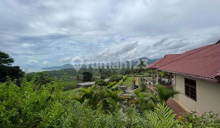 Dijual villa di tengah perkebunan 3