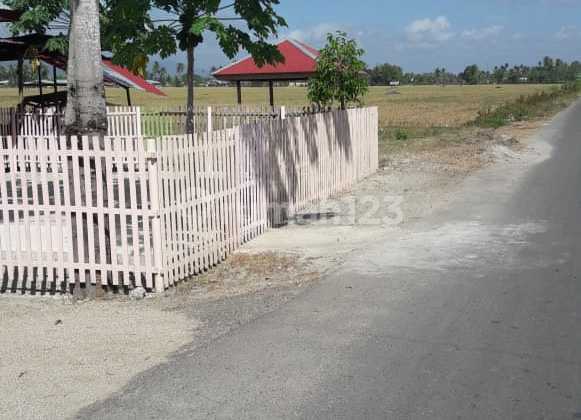 Tanah di lokasi sangat strategis  2