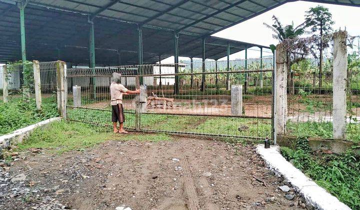 Pabrik dan gudang Bogor Ciseeng  2