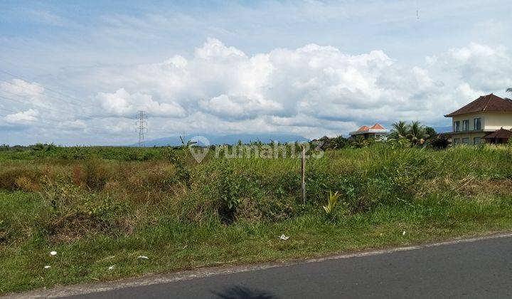 TANAH 9 ARE DEKAT  PANTAI MEDEWI  3