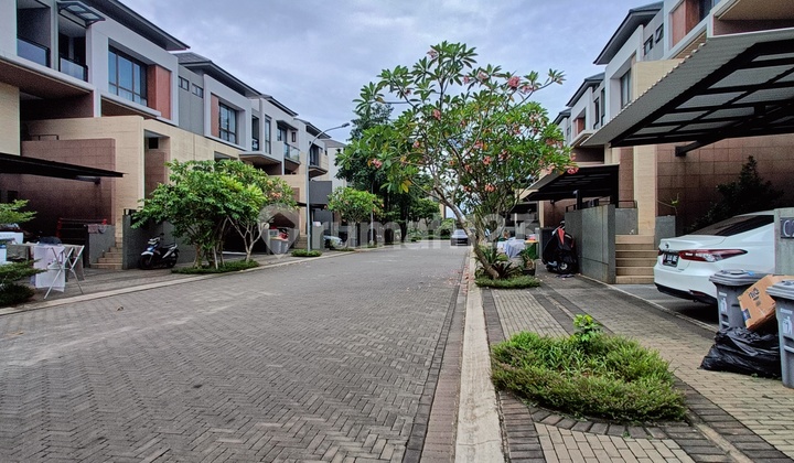 Dijual Cepat The Zora Kimora Bsd City Bagus No Minus
