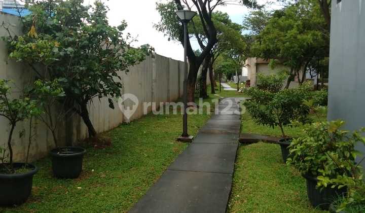 For Sale Cheap Frangipani De Park Already Renovated Move-In Ready 2